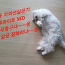 (주)퓨라이트 이미지