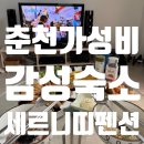 세르니띠 이미지