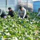 가장농장 이미지