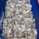 쭈꾸미스타 이미지