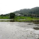 영인 낚시터 이미지