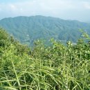 가제산 정상 이미지