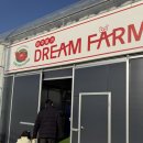 더드림팜 | 파주드림팜 딸기농장 37개월 아기랑 심학산 코다리밥도둑 후기