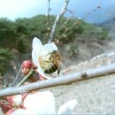 산란이 부쩍 늘때 탄력을 붙이려면..... ^^ 이미지