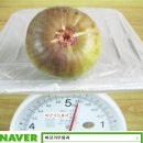 후인농장 이미지