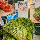 과일나라야채공주