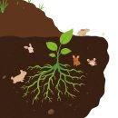 작은나무 이미지