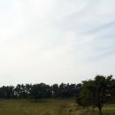 리치랜드 이미지