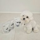 도그데일리 | 다섯 아이 아빠가 만든 무첨가 수제간식｜도그말리온 강아지 수제간식 솔직 급여 후기🐶