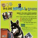 캠핑큐