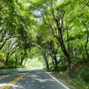 이리오너라 | 여주 '이리오너라 빵카페' 솔직 후기: 드라이브부터 반하는, 달 뜬 한옥 빵집