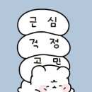 어울림 동물병원 이미지