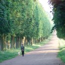 이삭애견훈련소 이미지