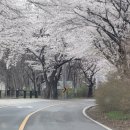 윗사기막 이미지