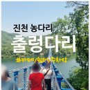 예산군시니어클럽 착한밥찬들 | 진천 가볼만한 곳] 농다리 출렁다리 미르숲 트래킹 (주차정보+출렁다리 카페)