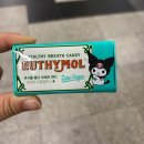 (주)산수쌈밥 | [일상] 또 먹기만 했네