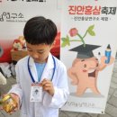 진안역사박물관 | 2025 진안홍삼축제 후기