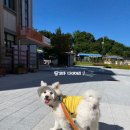 치악고등학교매점 이미지