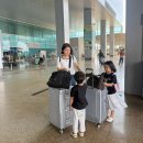 노아약국 | 아이와 나트랑 여행 초보 가이드✈️ 셀렉텀 노아 공구 정보🔥