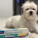 버박코리아(주) 이미지