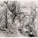 구봉산 가는길 이미지