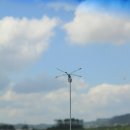 신사리 선돌 이미지