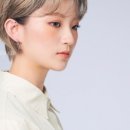 범 아쿠아 이미지