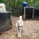 단비농장 이미지