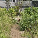 오도모텔 | 블챌 이모티콘 받아서 목표 달성했...