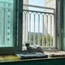 소영치과의원 | 주간일기 (7/29~8/6)