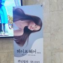 헤이브헤어