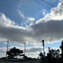 단산우체국 | 제주2. 여자 혼자 올레길 11코스 (공동묘지-모슬봉-신평•무릉간 곶자왈-무릉리)