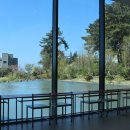 제일 카 마스타 | 제주도렌트카 가격 비교 할인! 초보자 전용 꿀팁 지금 확인해요!