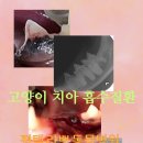 라뽀동물병원 이미지