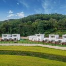 펫티움애견펜션 이미지