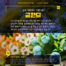 시청광장지하도상가 브런치