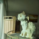 보람타워 이미지