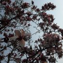 여성회관뒤 이미지