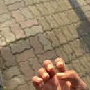 아버네일