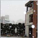성모님,트리,눈오는날 촬영 이미지 이미지