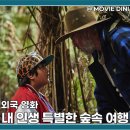 넷플릭스 신작영화 추천 내 인생 특별한 숲속 여행 정보 관람평 뉴질랜드의 따뜻한 모험