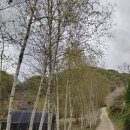 동이초등학교우산분교장 이미지