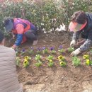 교동행정복지센터 이미지