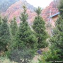 민박 동면 이미지