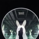 순천맘모스 이미지