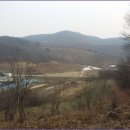 상장1리 Daum카페