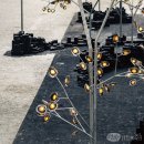 빛의 속도로 진화하다 이미지