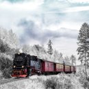 기차여행 이미지