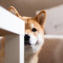 대영피부과의원 이미지