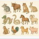 11월 20일 띠별 운세 이미지